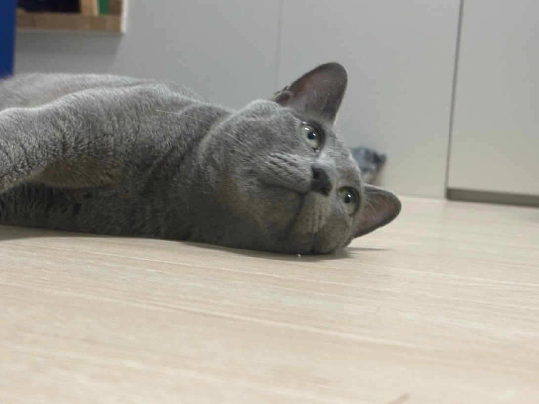 서대문