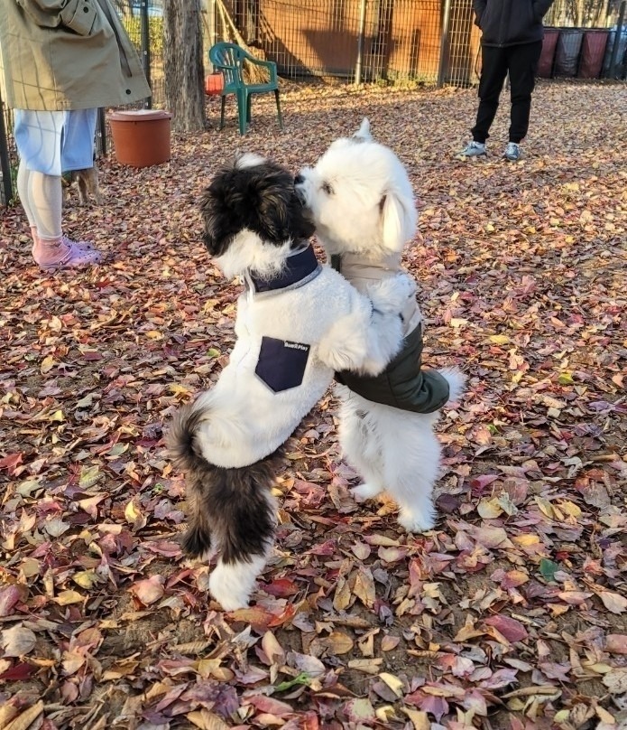 서대문