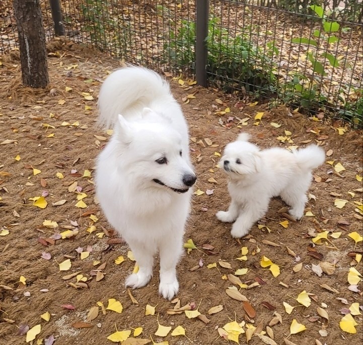 서대문