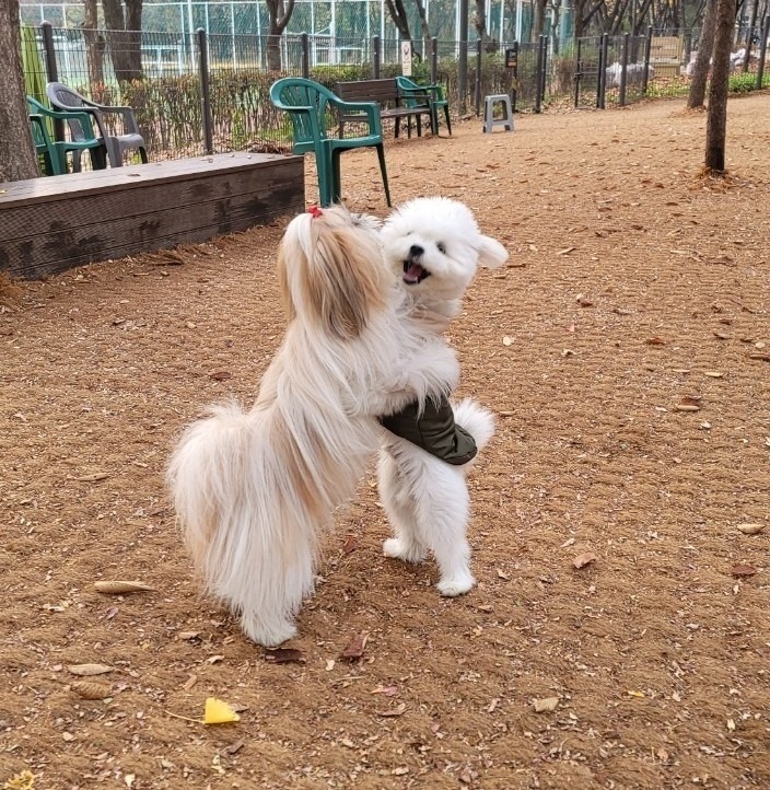 서대문