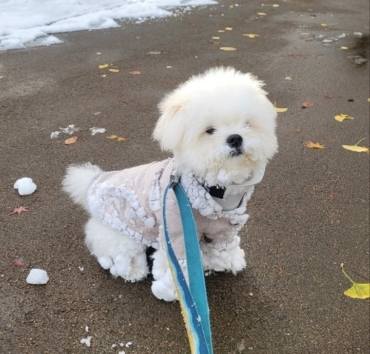 서대문