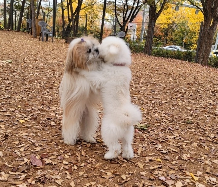 서대문