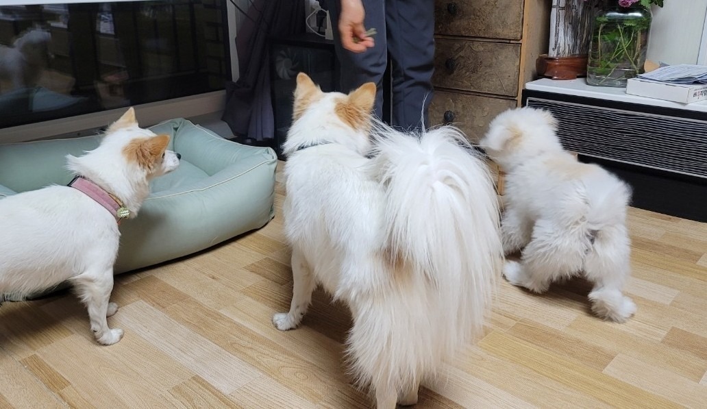 서대문