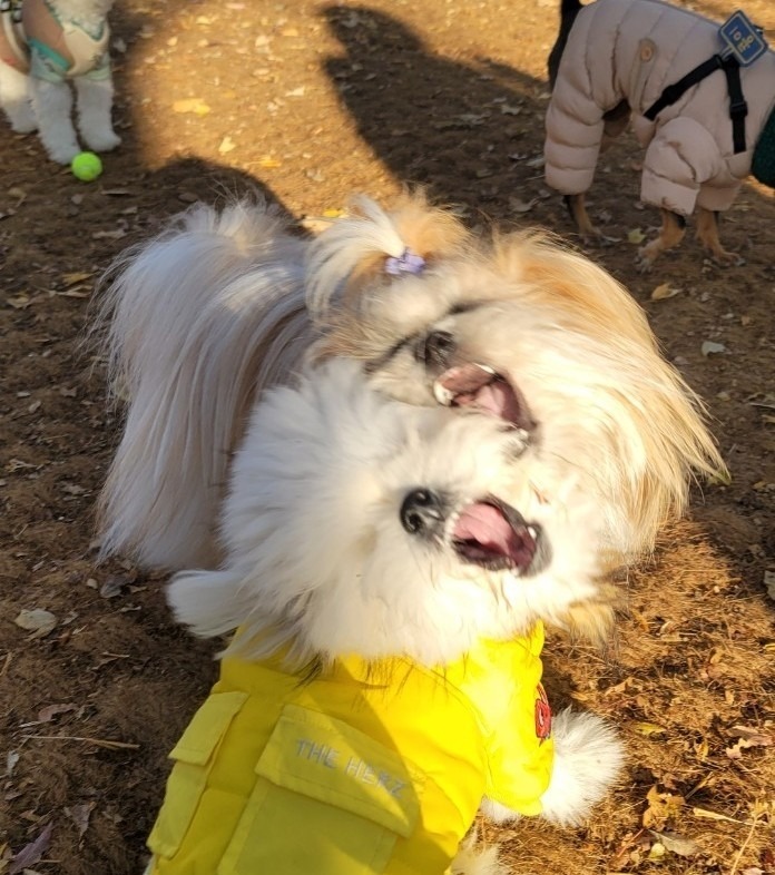 서대문