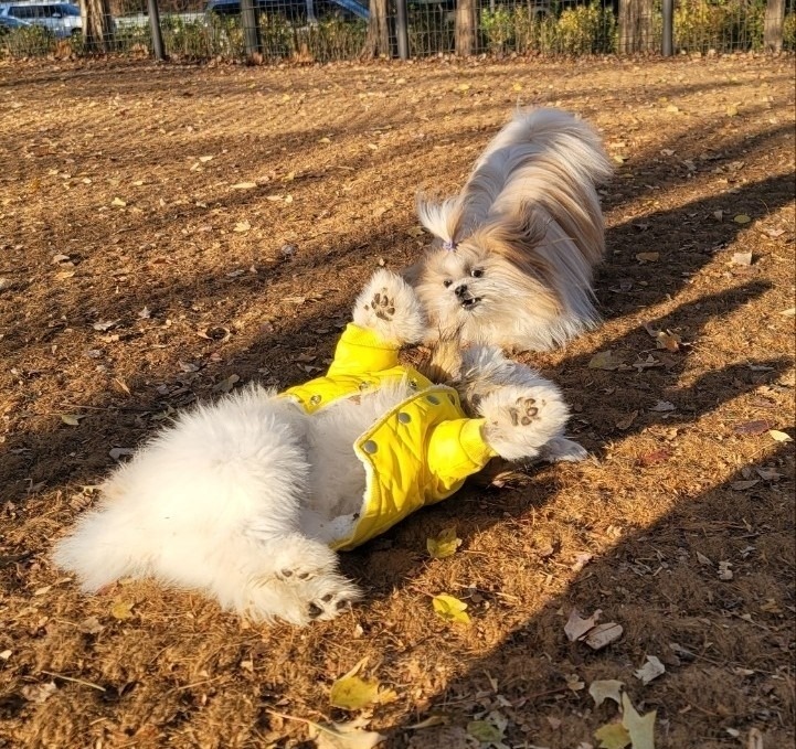 서대문