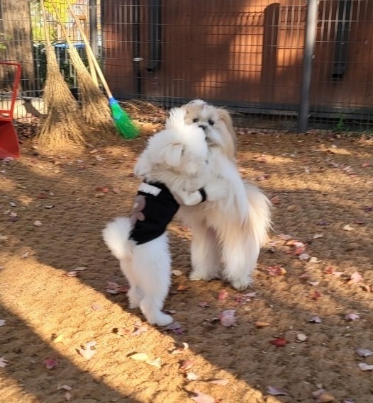 서대문