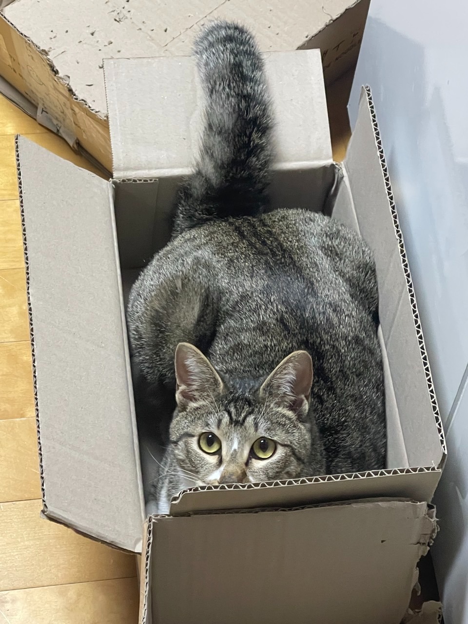 서대문