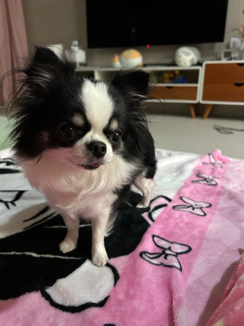 서대문