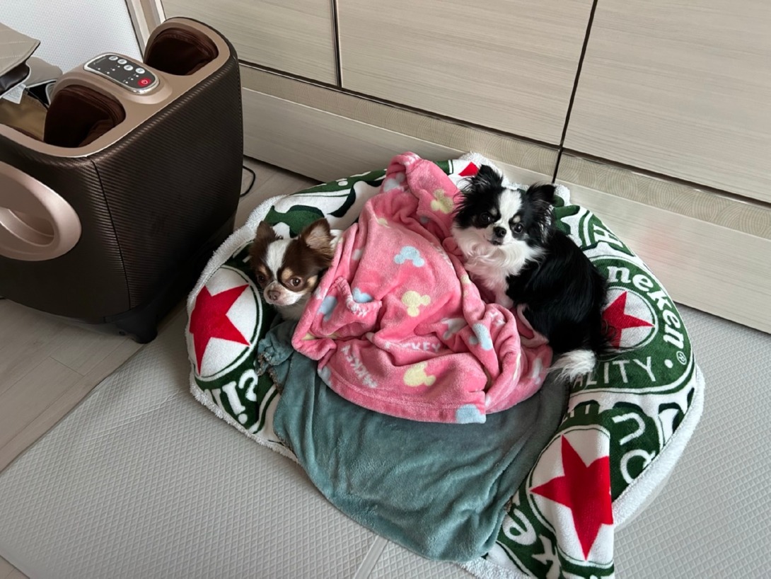 서대문
