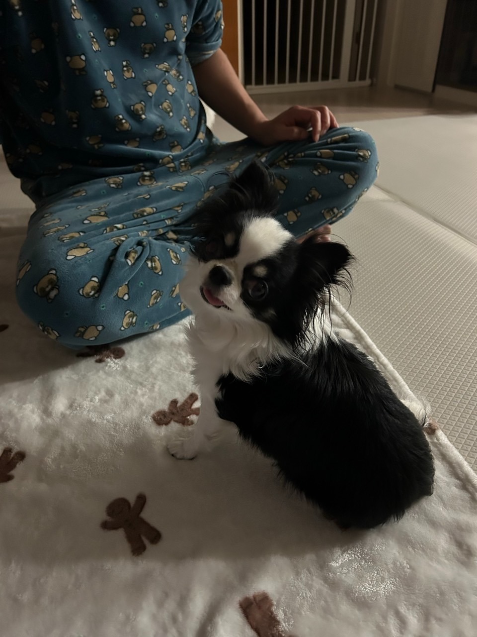 서대문