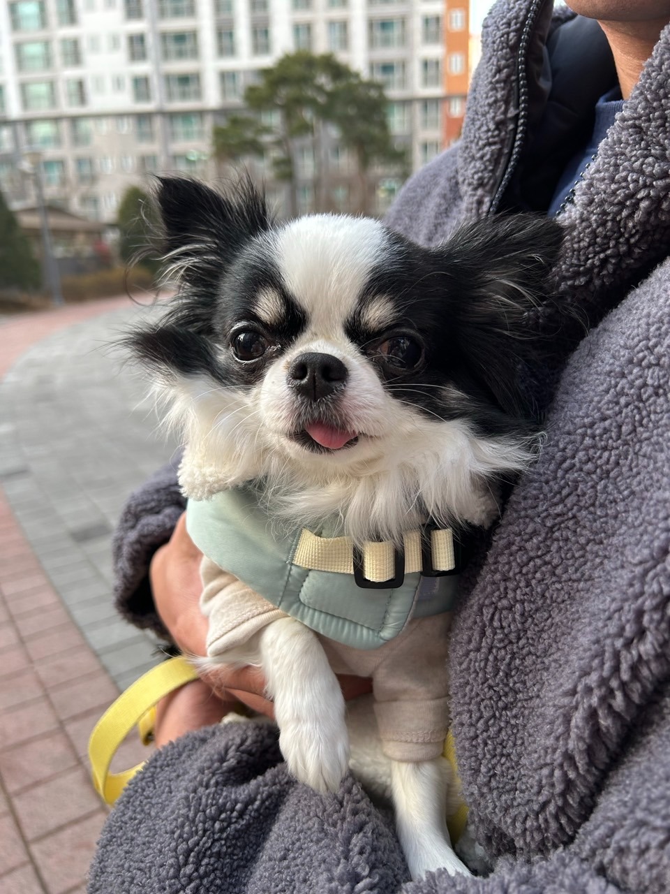 서대문