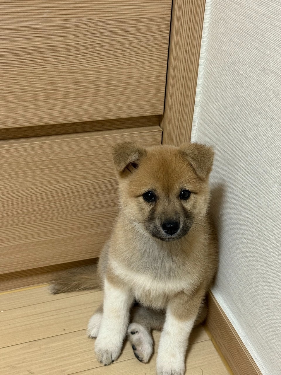 서대문