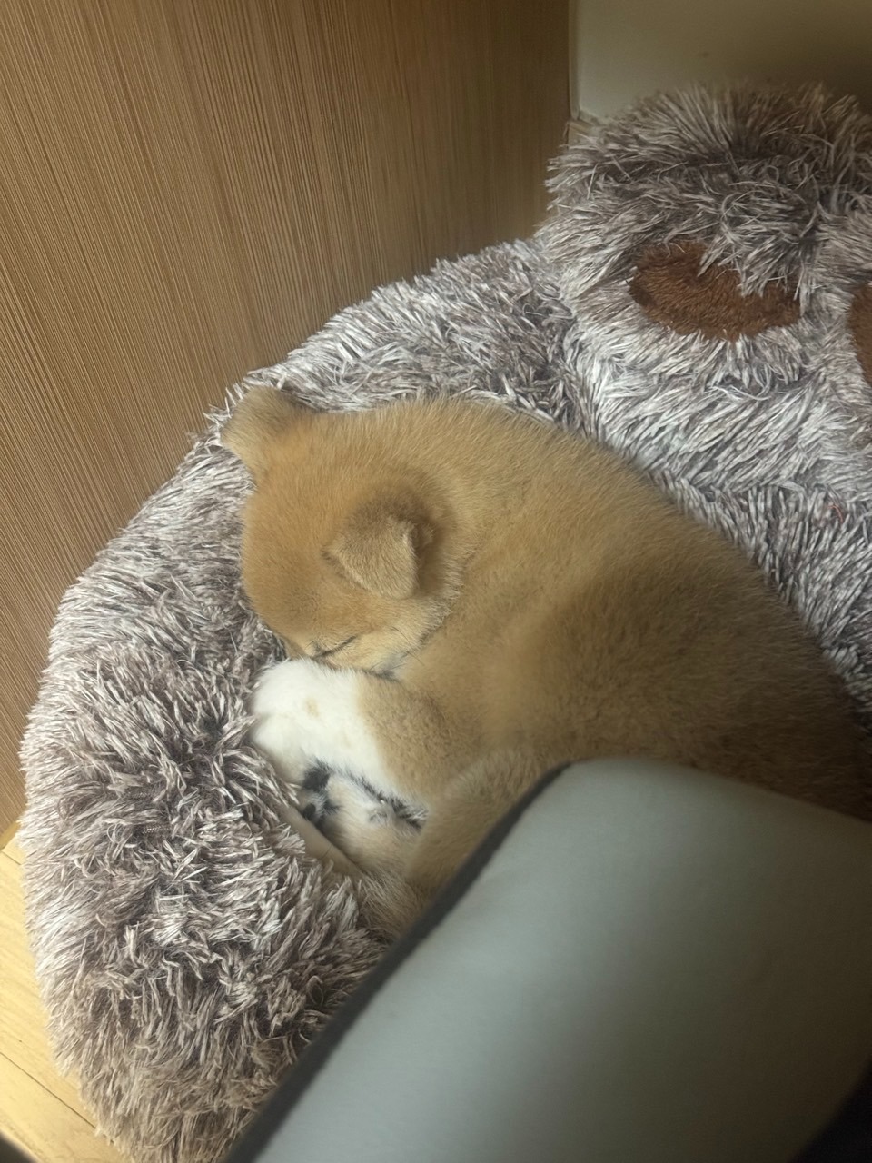 서대문