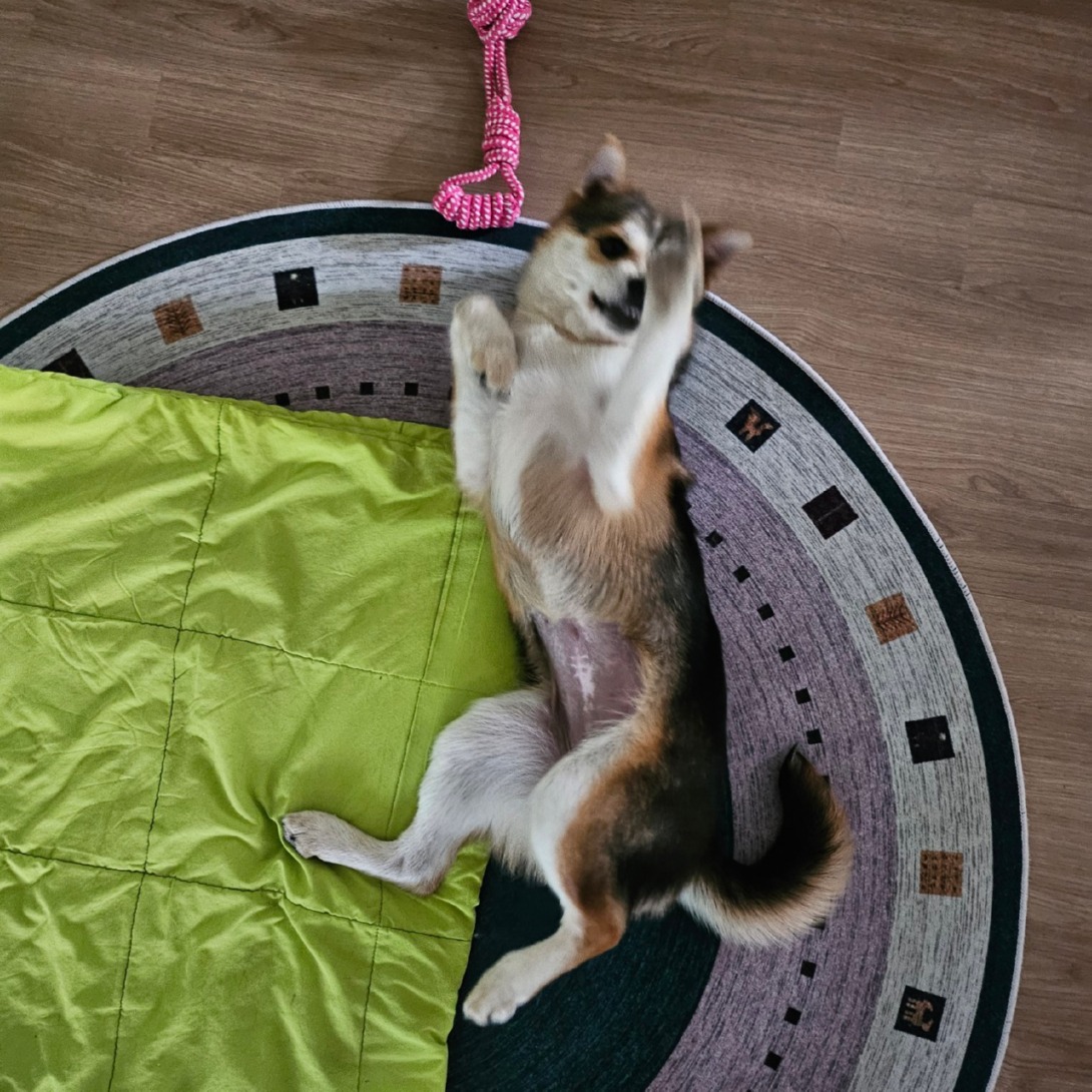 서대문