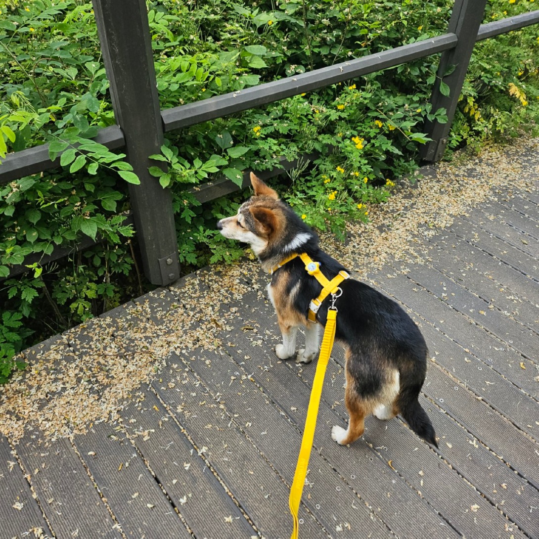 서대문