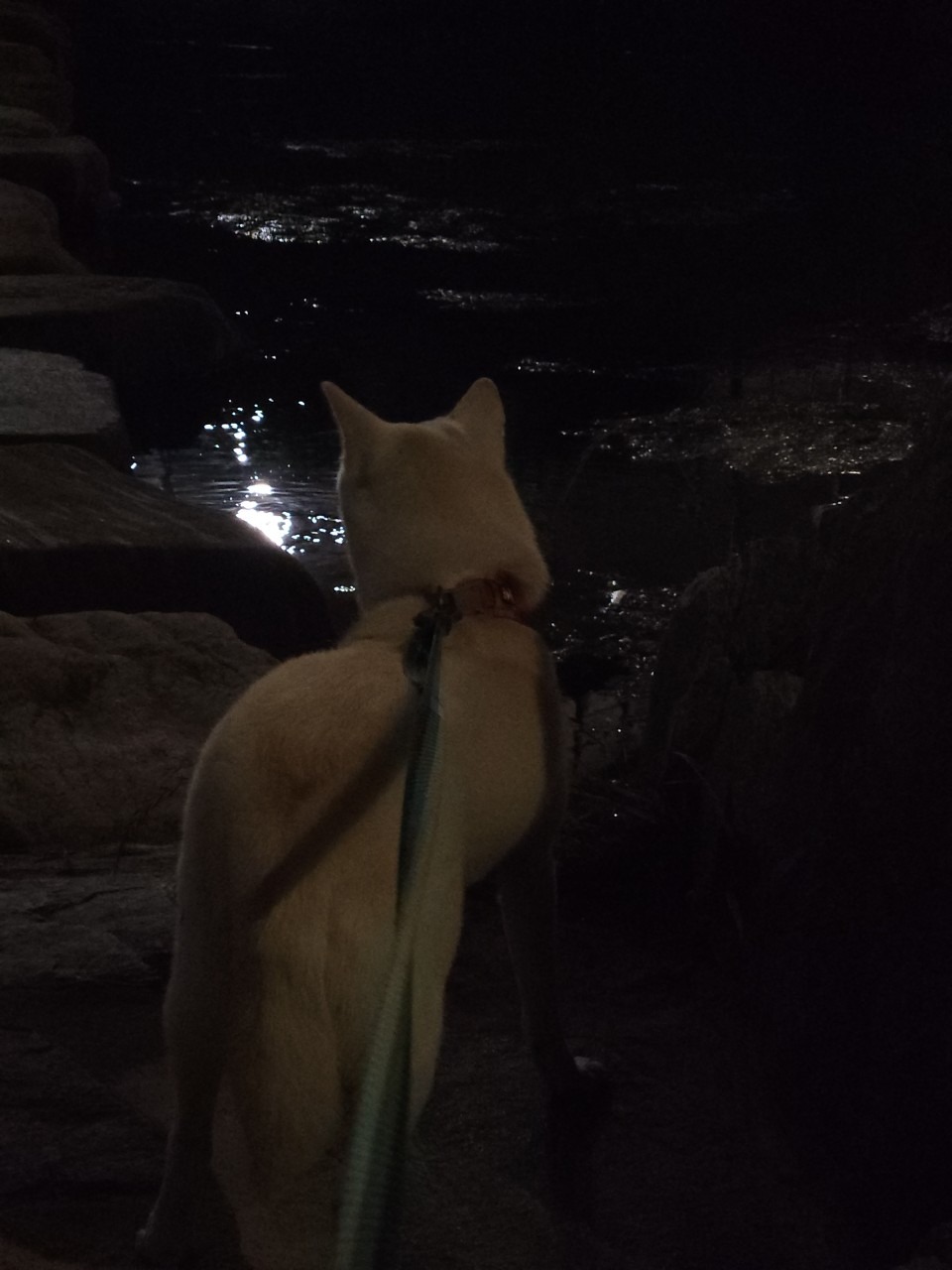 서대문