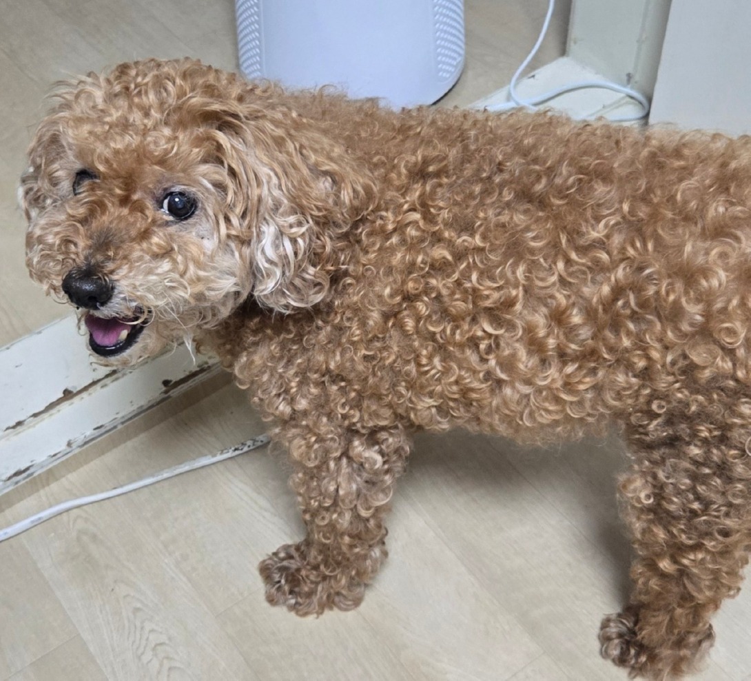 서대문