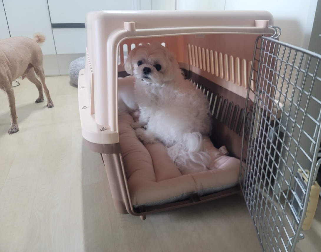 서대문