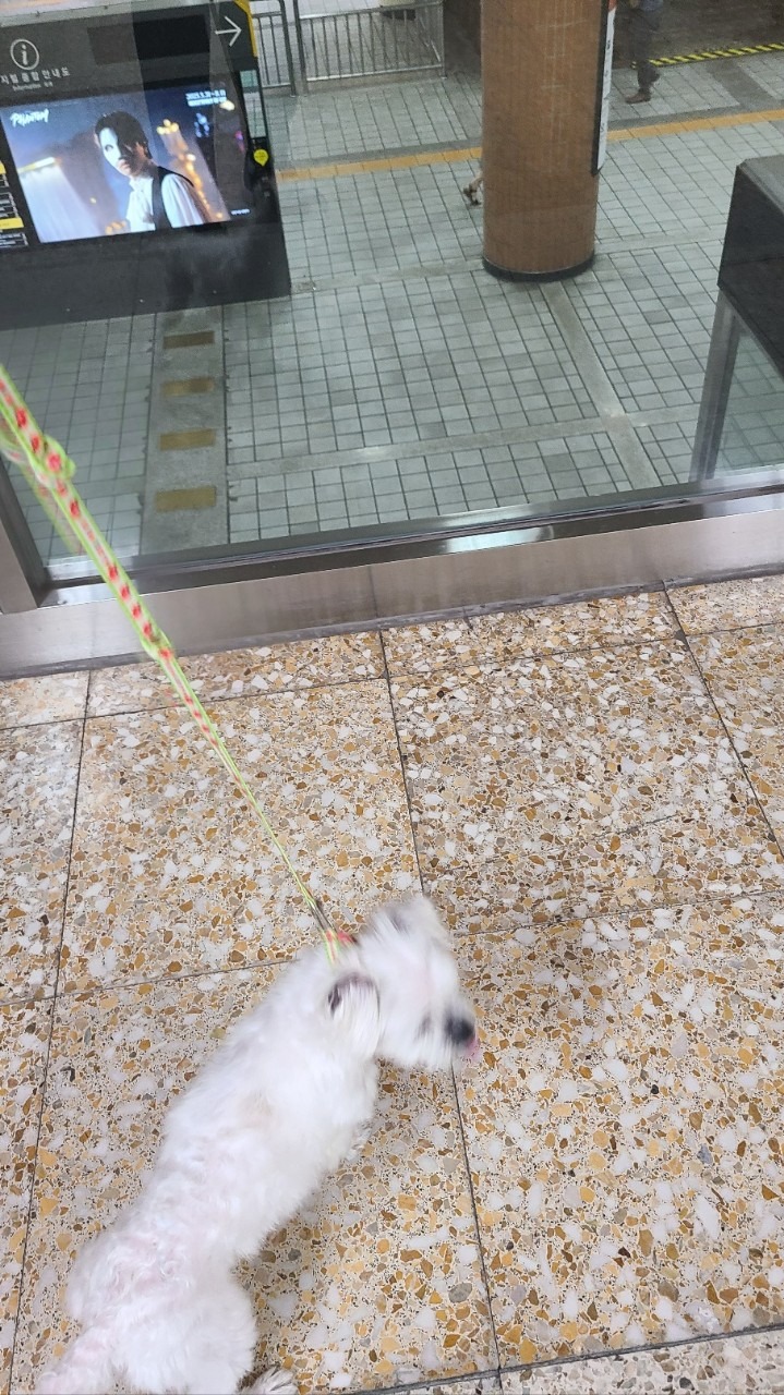 서대문