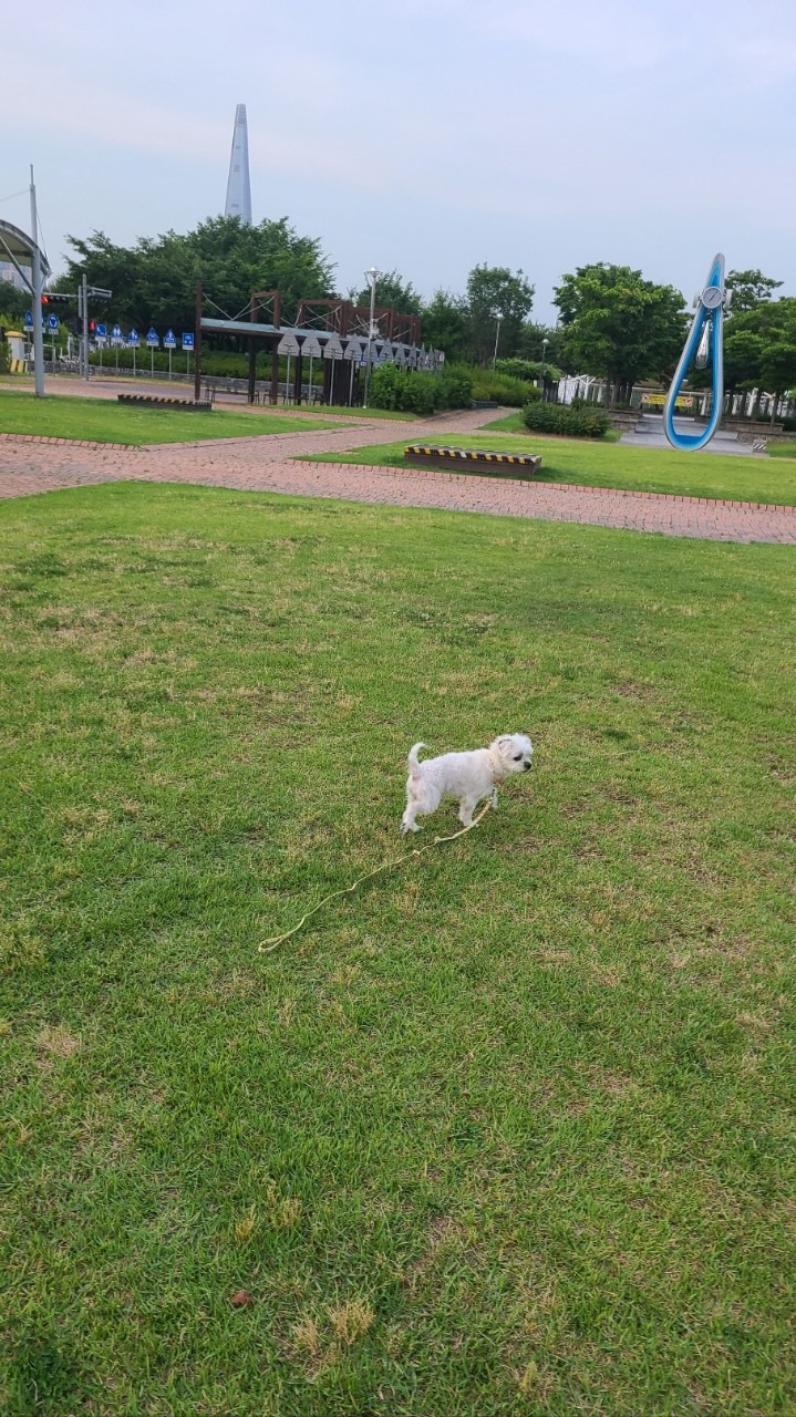 서대문