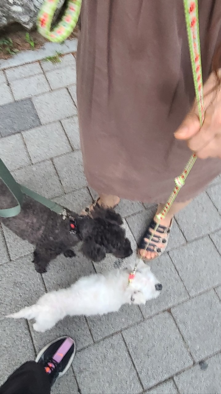 서대문