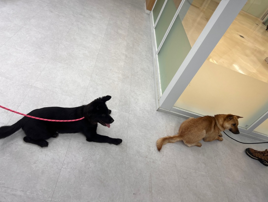 KakaoTalk_20250722_103442325.jpg