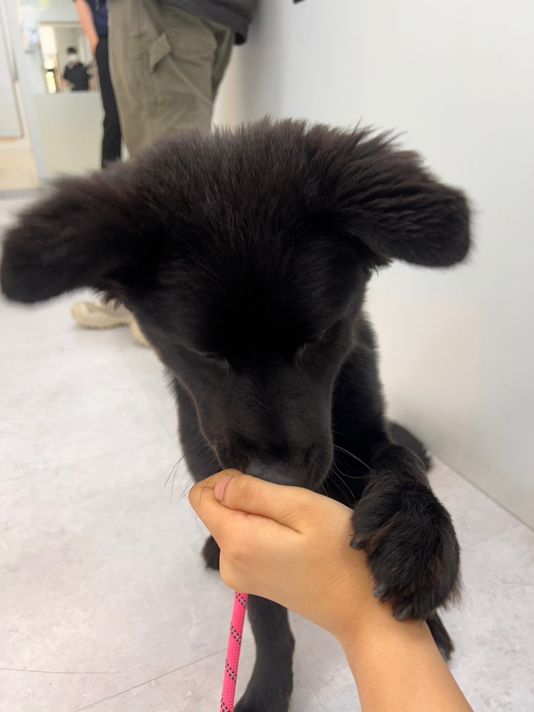 KakaoTalk_20250722_100423511.jpg