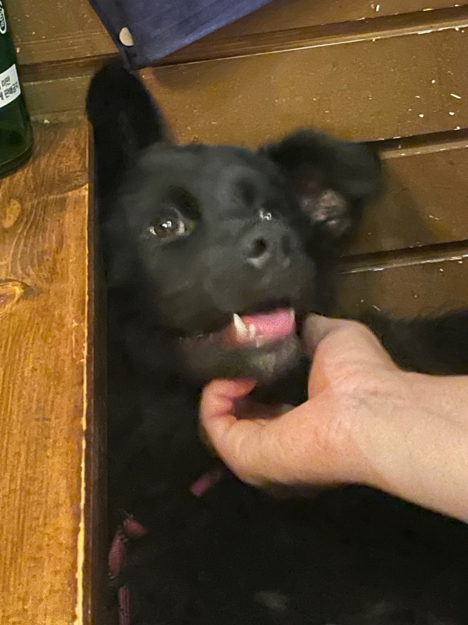 서대문