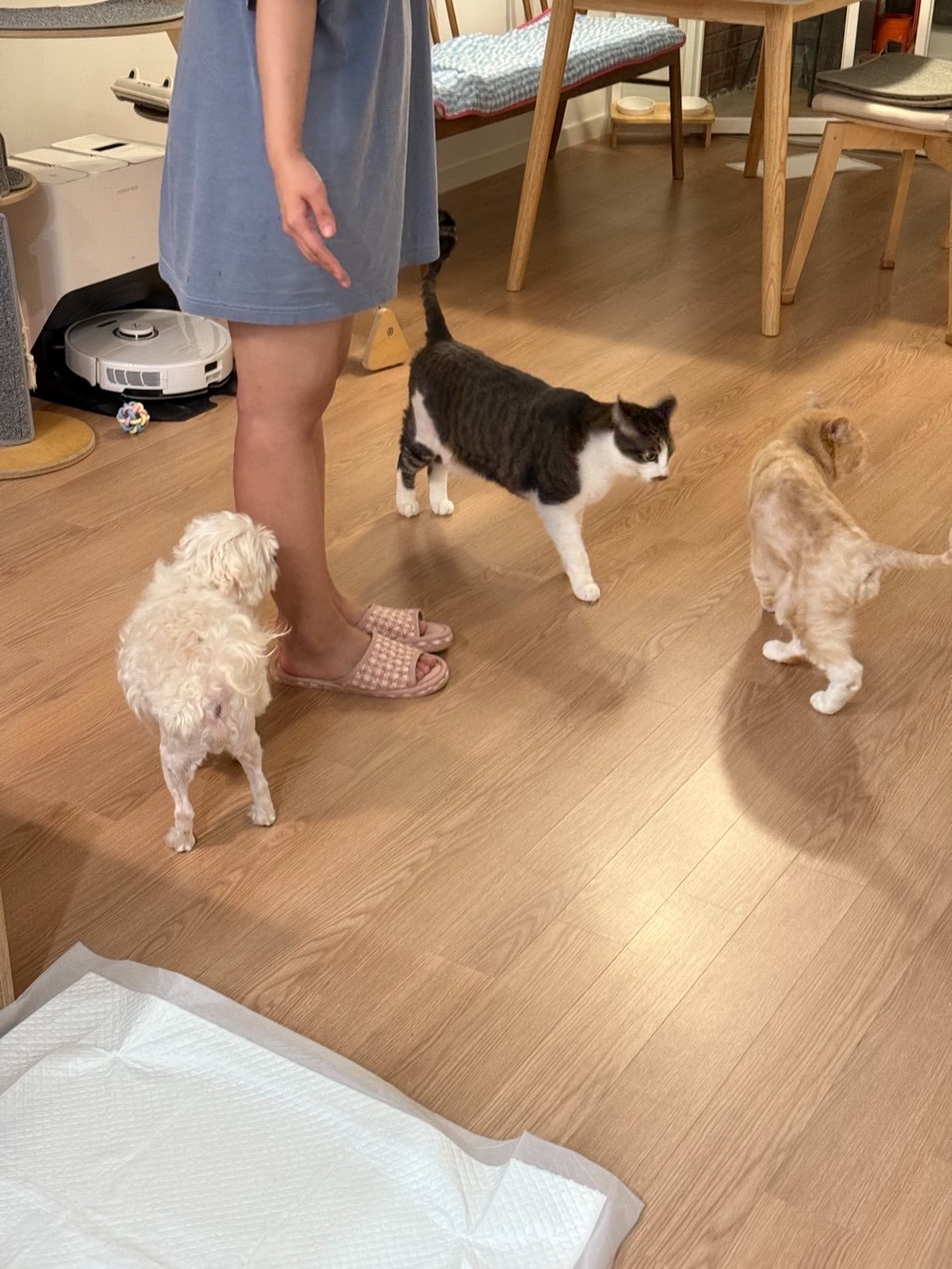 서대문
