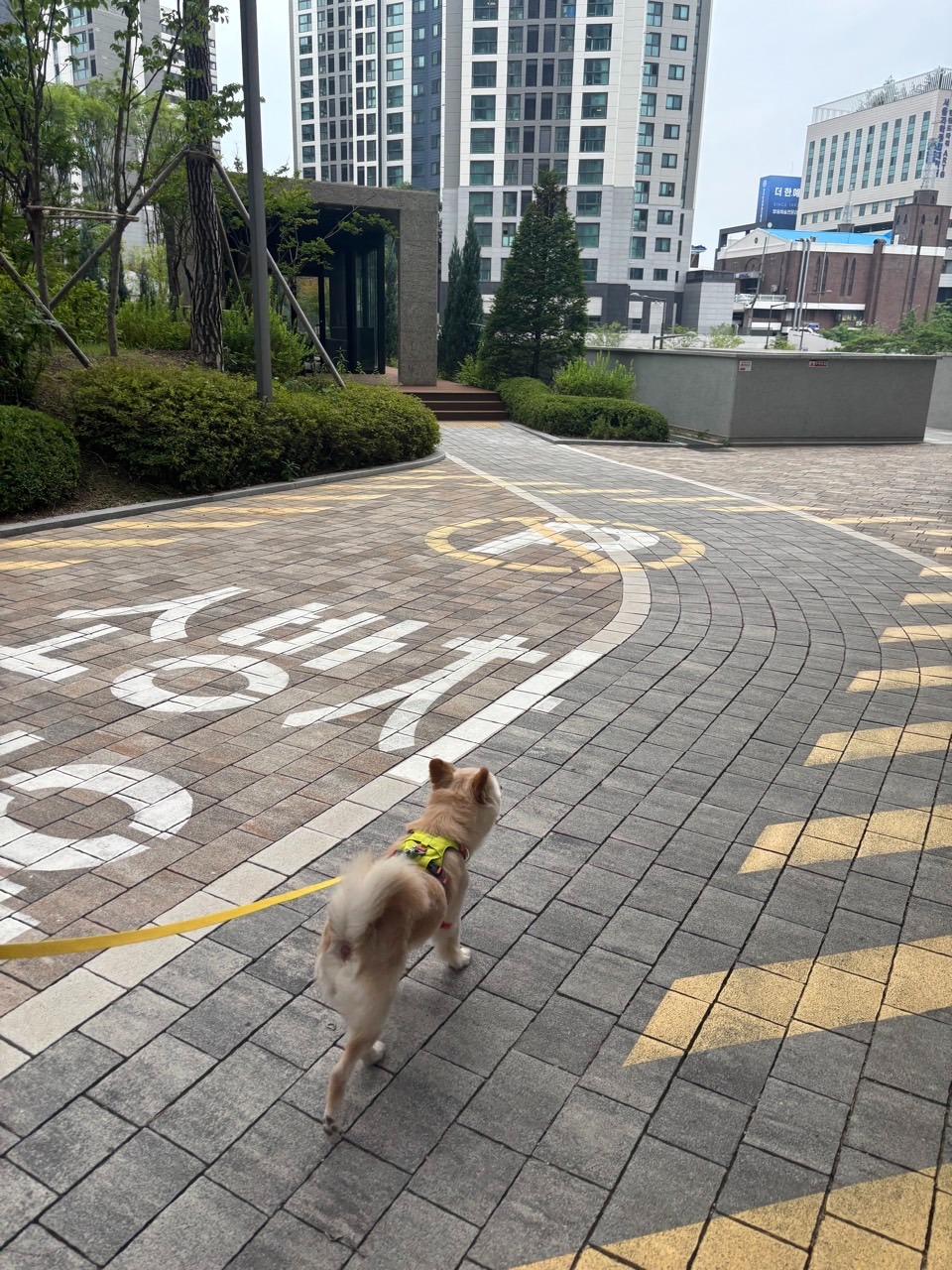 서대문