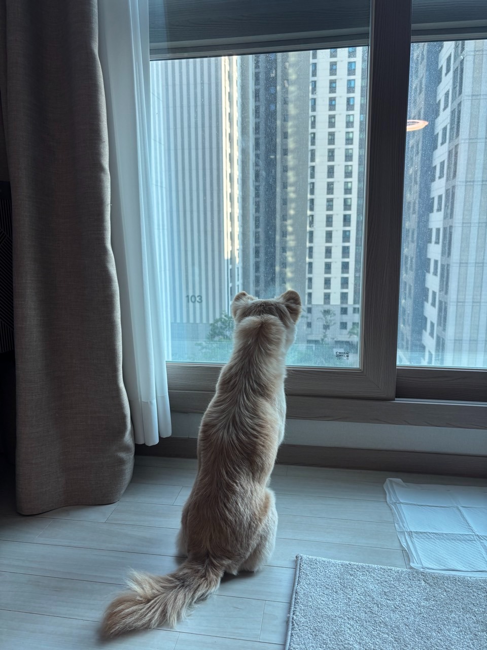서대문