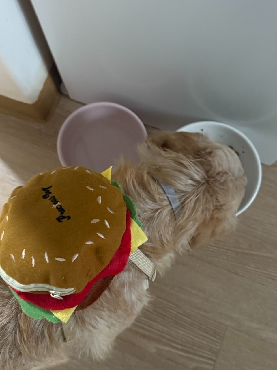 서대문