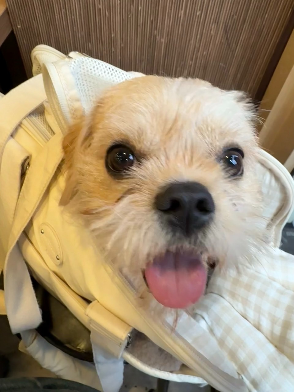 서대문