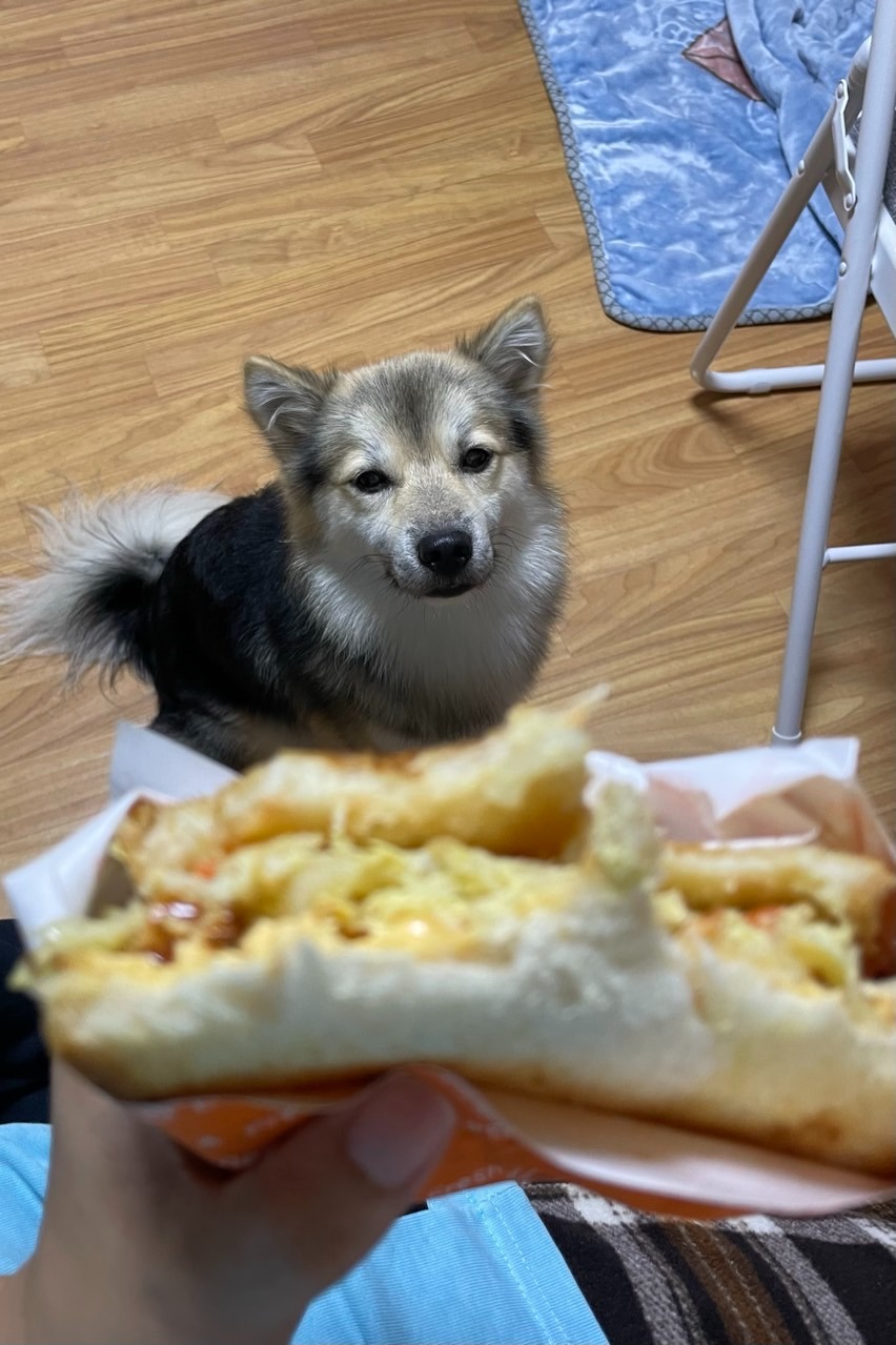 서대문