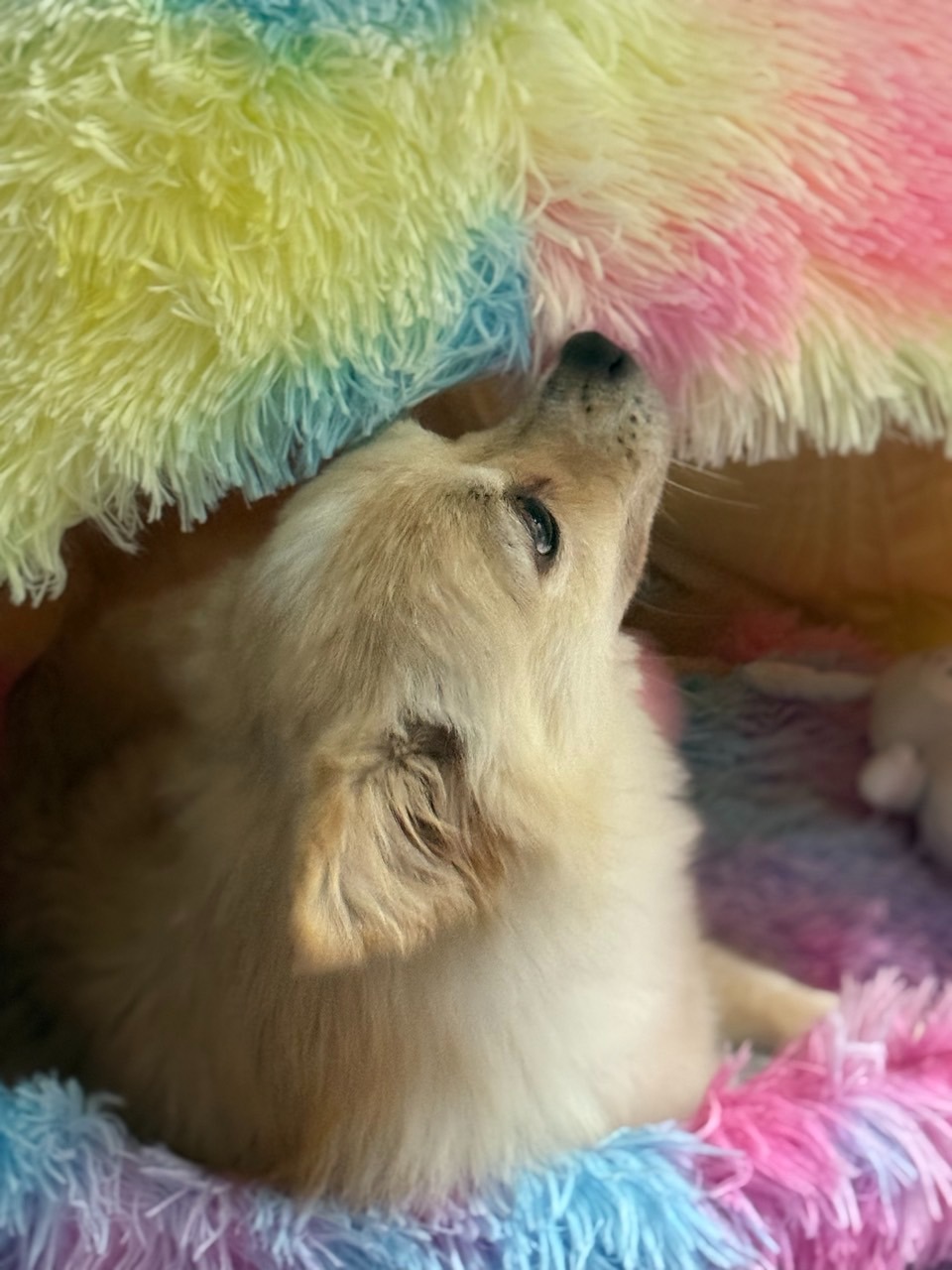 서대문